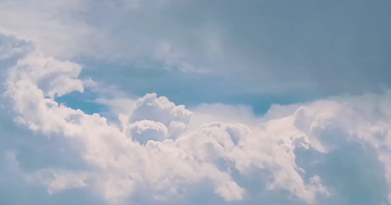 Biodiversity and Green Spaces. Vertical gardens, native species and rainwater collection systems.